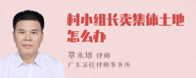 村小组长卖集体土地怎么办