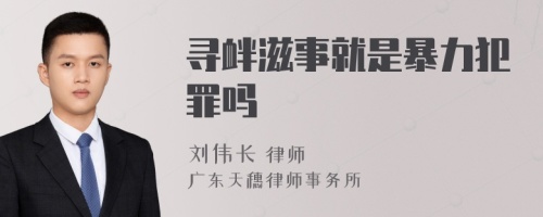 寻衅滋事就是暴力犯罪吗