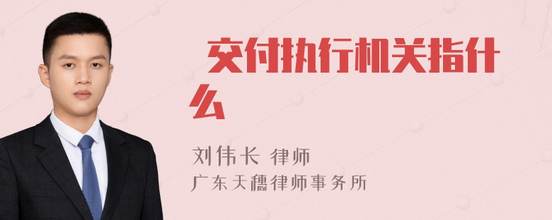  交付执行机关指什么