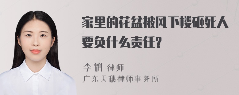 家里的花盆被风下楼砸死人要负什么责任?