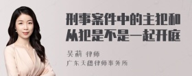 刑事案件中的主犯和从犯是不是一起开庭