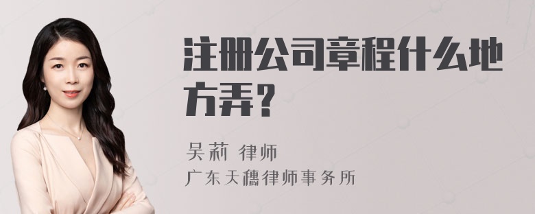 注册公司章程什么地方弄？