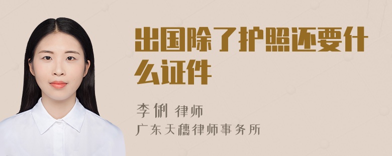 出国除了护照还要什么证件
