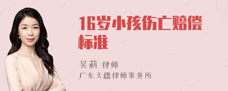 16岁小孩伤亡赔偿标准