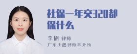 社保一年交320都保什么