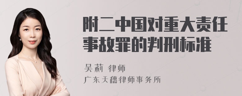 附二中国对重大责任事故罪的判刑标准