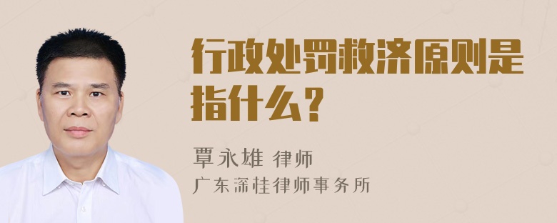 行政处罚救济原则是指什么？