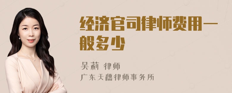 经济官司律师费用一般多少