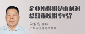 企业所得税是由利润总额乘以税率吗?