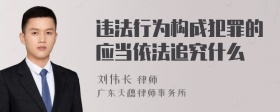 违法行为构成犯罪的应当依法追究什么