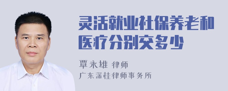 灵活就业社保养老和医疗分别交多少