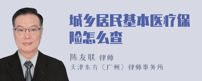 城乡居民基本医疗保险怎么查