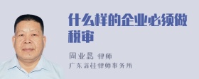 什么样的企业必须做税审