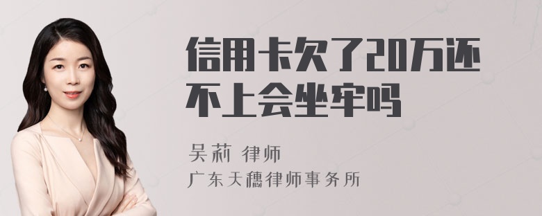 信用卡欠了20万还不上会坐牢吗