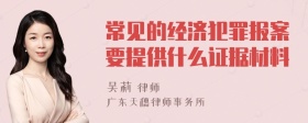 常见的经济犯罪报案要提供什么证据材料