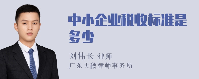 中小企业税收标准是多少