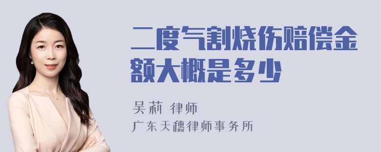 二度气割烧伤赔偿金额大概是多少