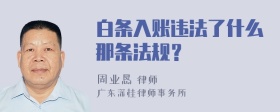 白条入账违法了什么那条法规？