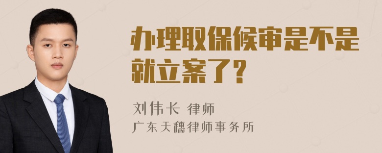 办理取保候审是不是就立案了?