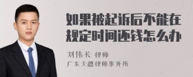 如果被起诉后不能在规定时间还钱怎么办