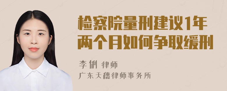 检察院量刑建议1年两个月如何争取缓刑