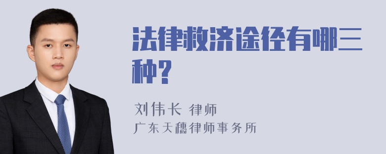 法律救济途径有哪三种?