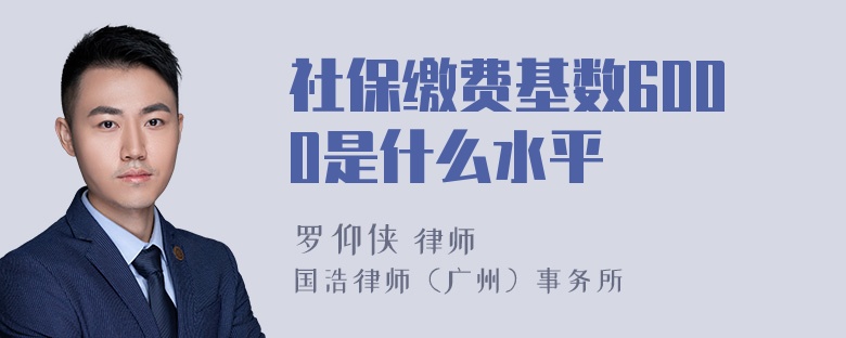 社保缴费基数6000是什么水平