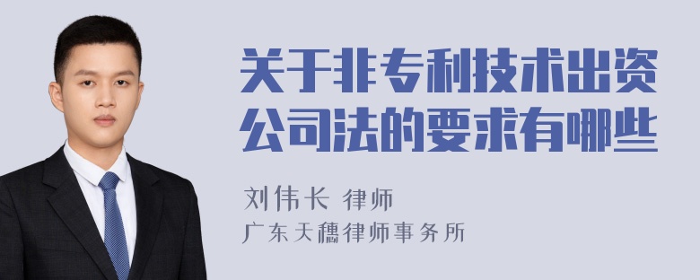 关于非专利技术出资公司法的要求有哪些