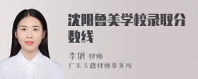 沈阳鲁美学校录取分数线