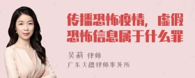 传播恐怖疫情，虚假恐怖信息属于什么罪