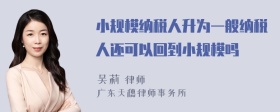 小规模纳税人升为一般纳税人还可以回到小规模吗