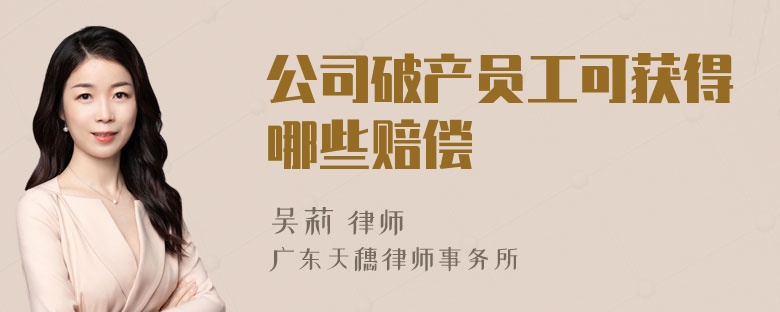 公司破产员工可获得哪些赔偿