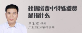 社保缴费中特殊缴费是指什么