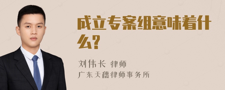 成立专案组意味着什么?