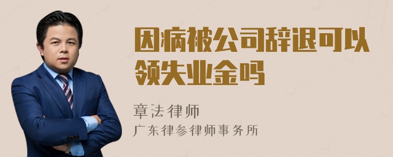 因病被公司辞退可以领失业金吗