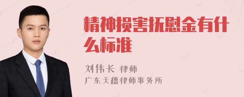 精神损害抚慰金有什么标准