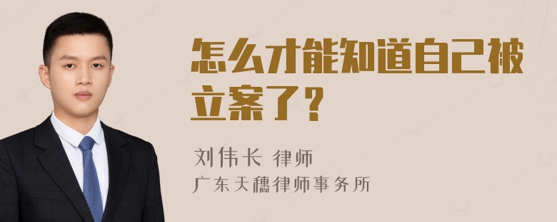 怎么才能知道自己被立案了？