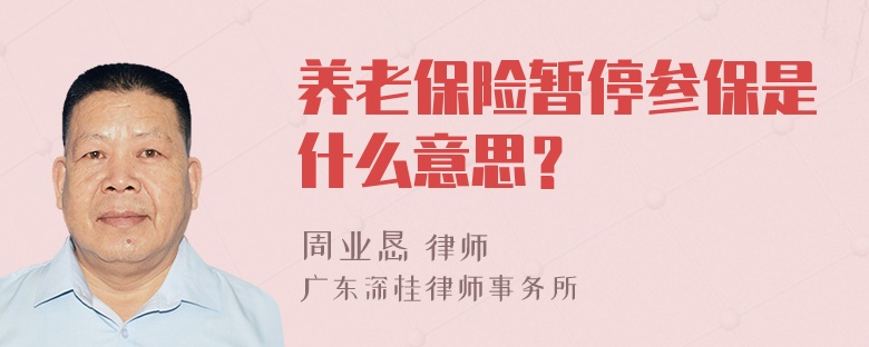 养老保险暂停参保是什么意思？