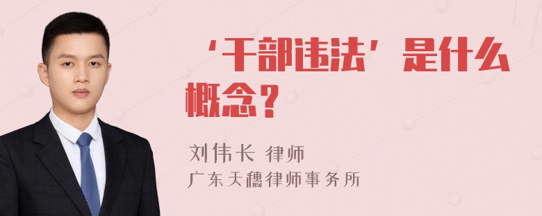 ‘干部违法’是什么概念？