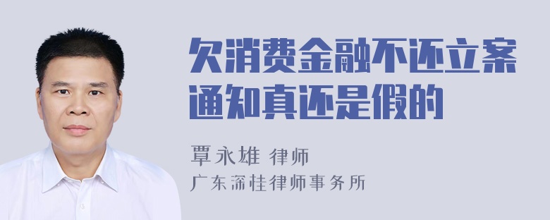 欠消费金融不还立案通知真还是假的