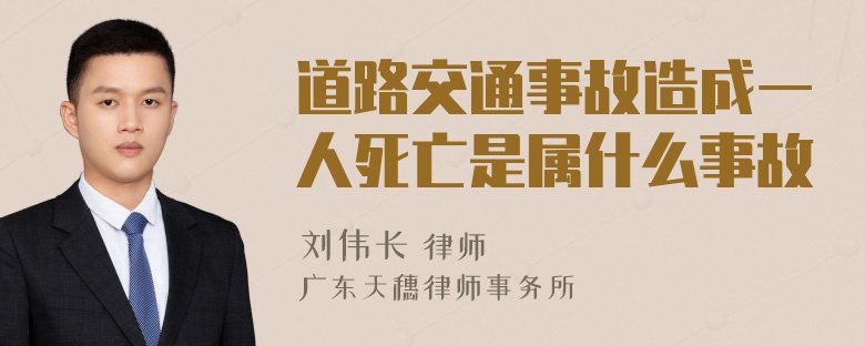 道路交通事故造成一人死亡是属什么事故