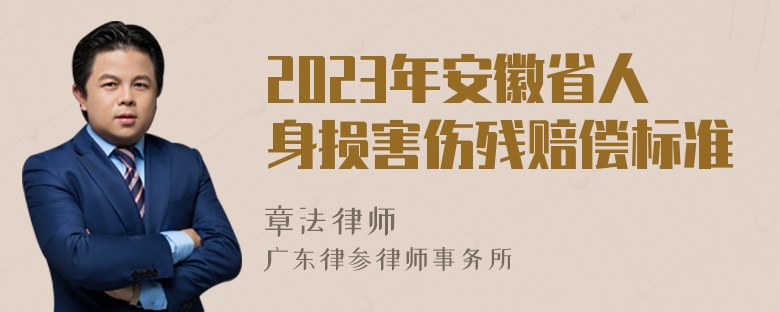 2023年安徽省人身损害伤残赔偿标准