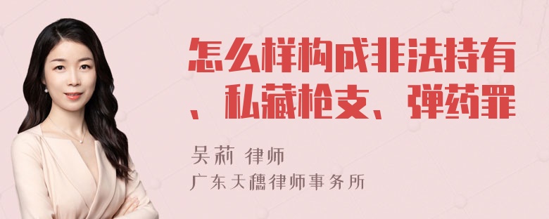 怎么样构成非法持有、私藏枪支、弹药罪