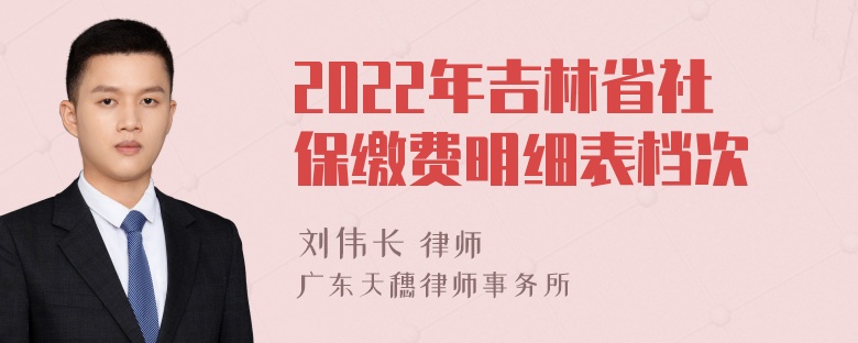 2022年吉林省社保缴费明细表档次