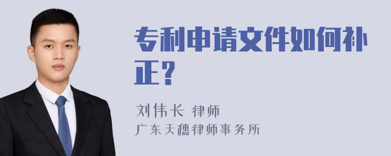 专利申请文件如何补正？