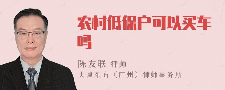 农村低保户可以买车吗