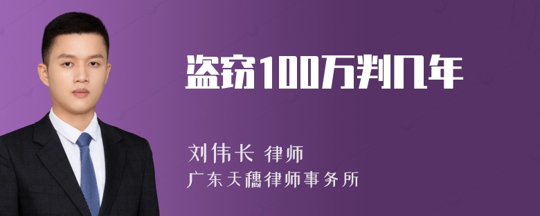 盗窃100万判几年