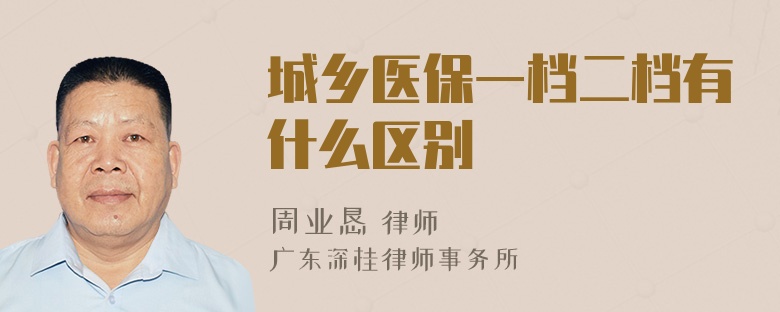 城乡医保一档二档有什么区别