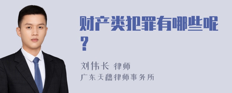 财产类犯罪有哪些呢？