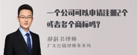 一个公司可以申请注册2个或者多个商标吗？